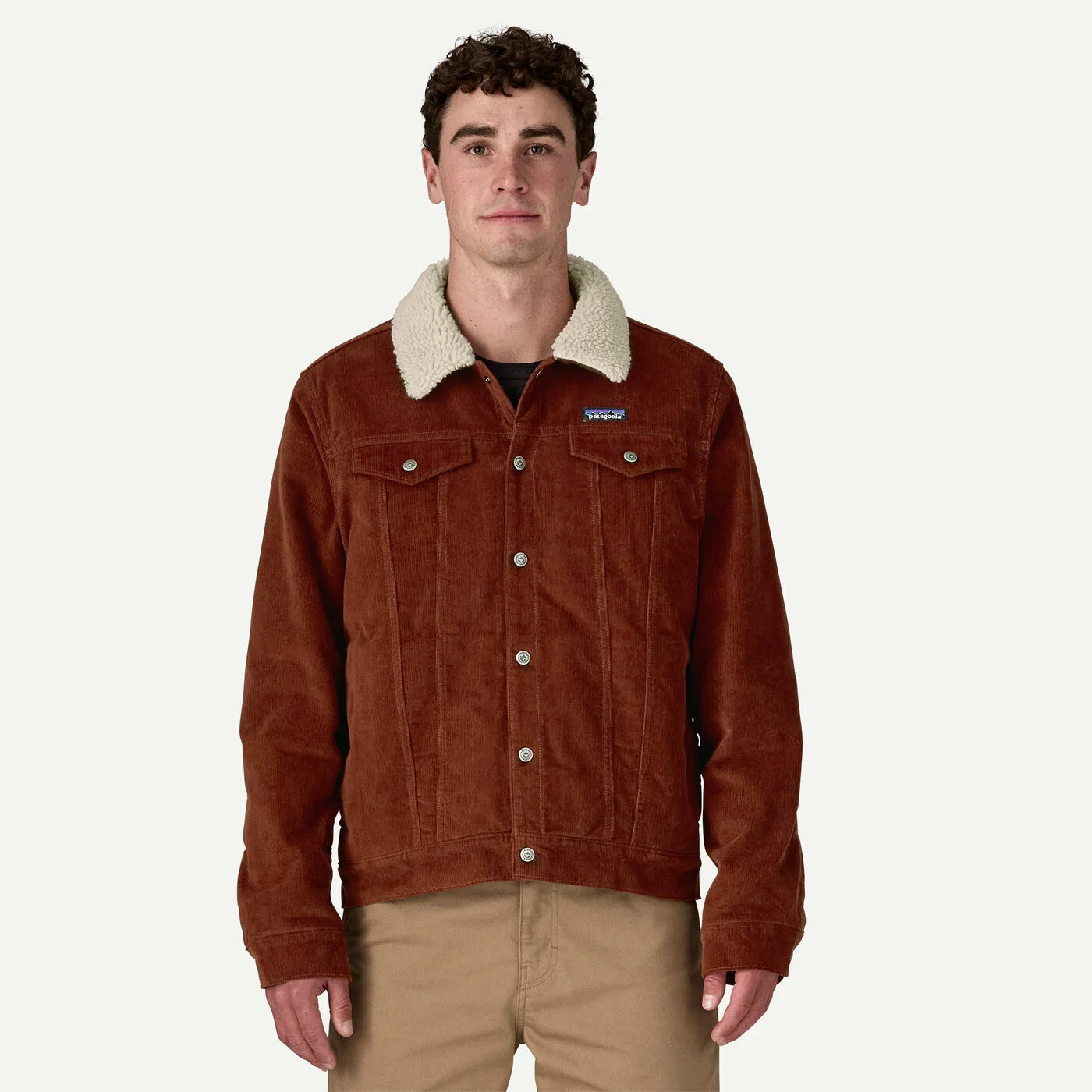 Patagonia Men's Pile Lined Trucker Jacket