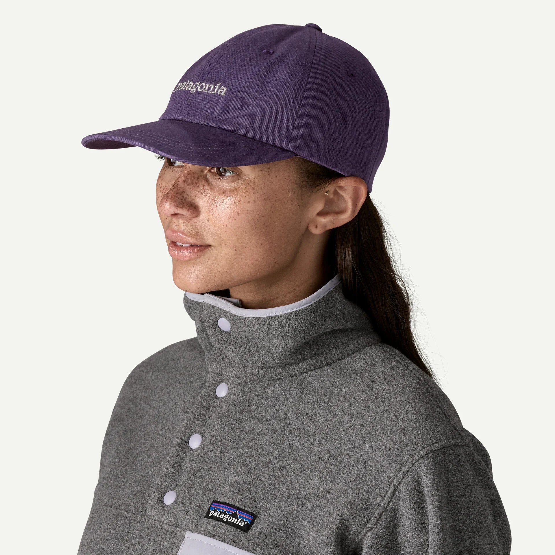 Patagonia Fitz Roy Icon Trad Cap