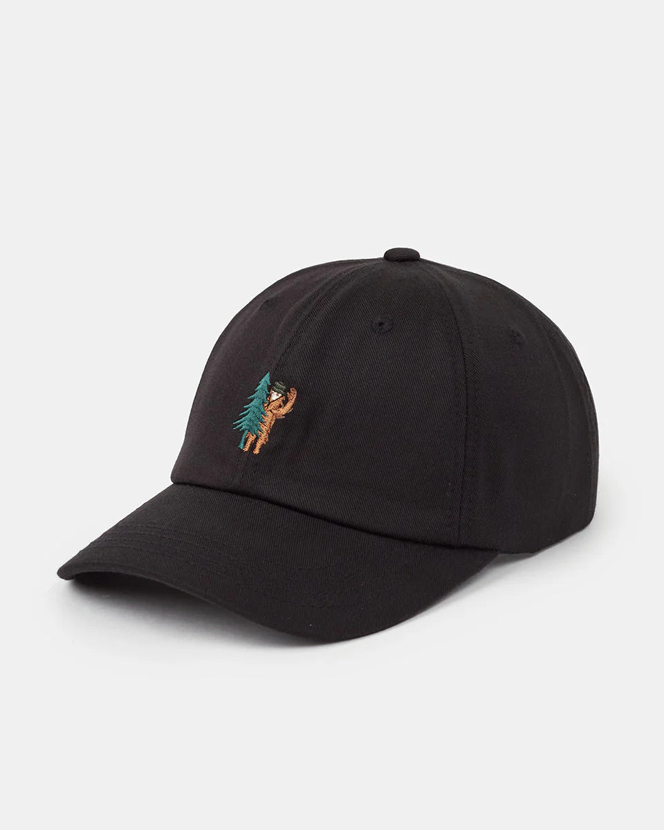 Tentree Sasquatch Peak Hat