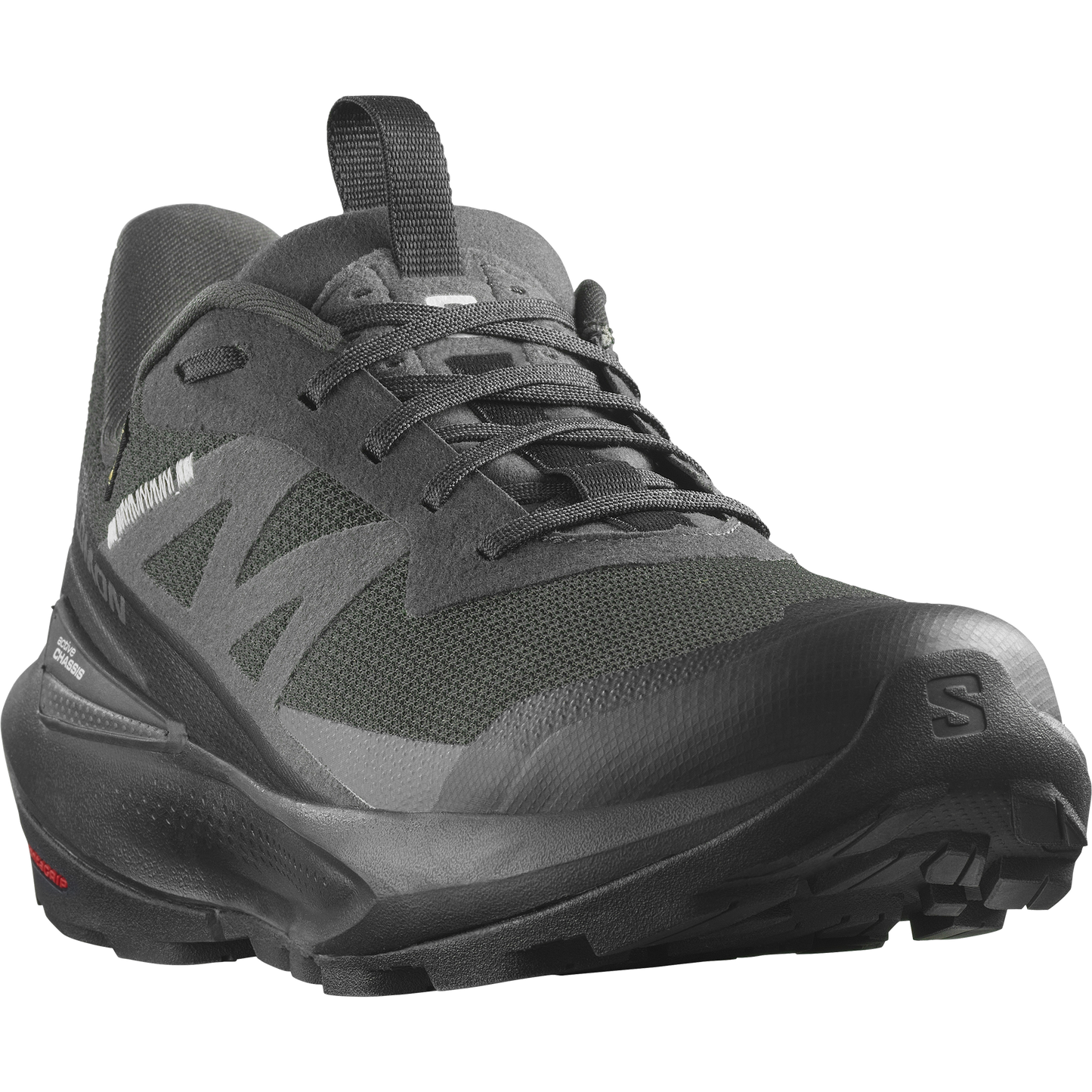 Salomon Men's Elixir Active GTX Shoe