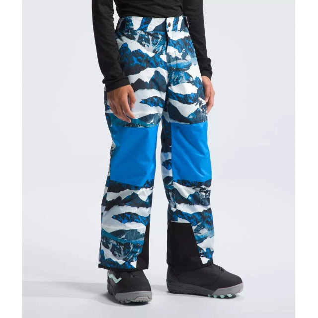 The North Face Boys' Freedom Insulated Pant