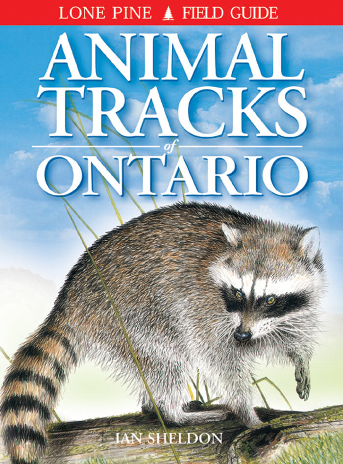 Lone Pine Ontario Animal Tracks