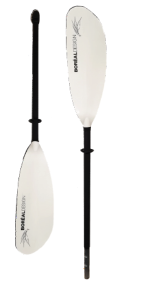 Beluga Paddle Tour FG